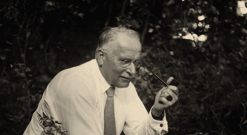 Explorando as Profundezas dos Sonhos com Carl Gustav Jung